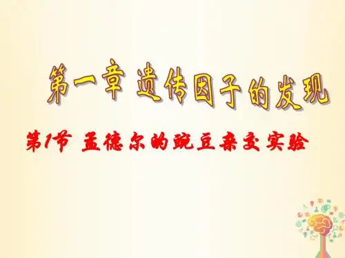 高中生物第一章遗传因子的发现第1节孟德尔的豌豆杂交试验(一)2课件新人教版必修2