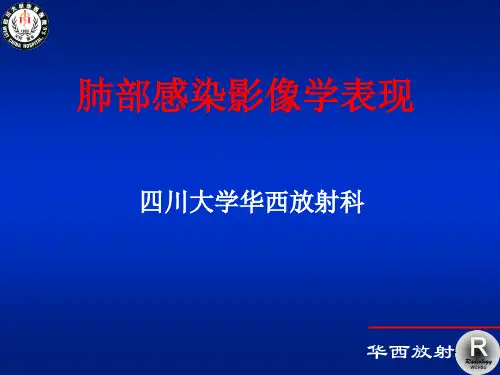 医学肺部感染影像学PPT课件