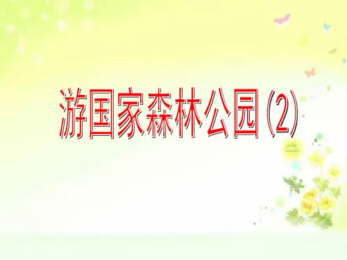 沪教小学数学二下游国家森林公园PPT课件 (1)