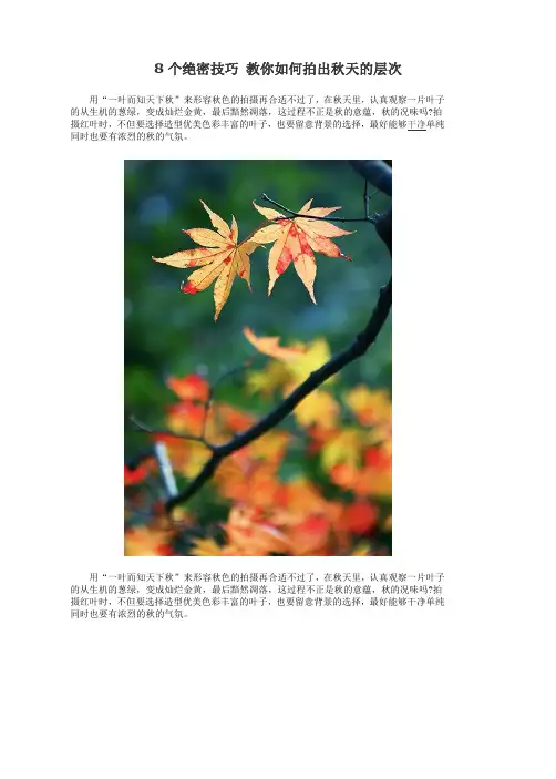 8个绝密技巧 教你如何拍出秋天的层次