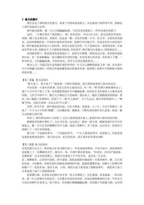 秋天的落叶 2