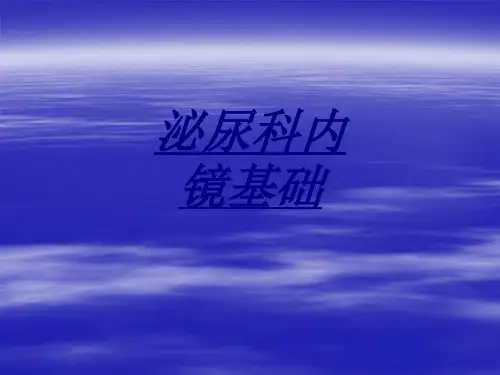 泌尿科内镜基础讲义