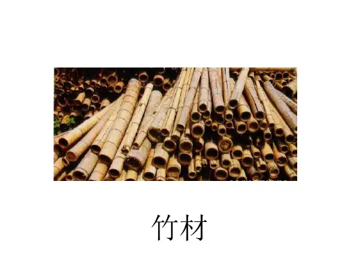 造型材料与成型工艺——竹材