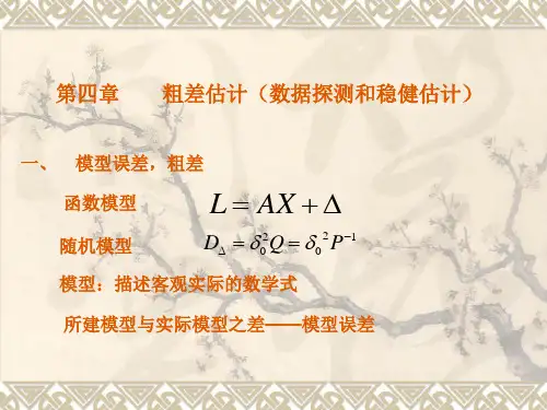 粗差估计