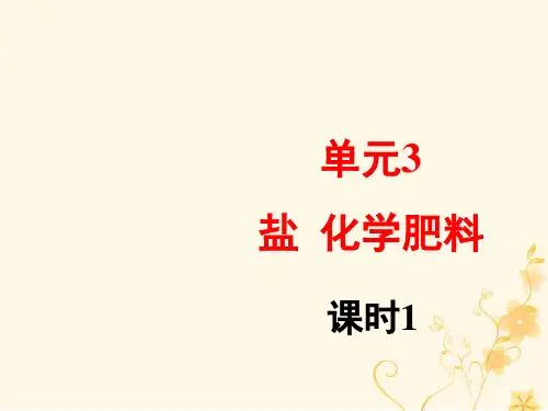 九年级化学下册专题七初识酸碱和盐单元3盐化学肥料第1课时课件(新湘教版)