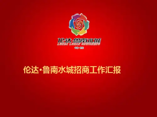 招商工作汇报 ppt课件