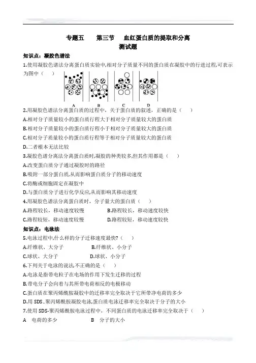 高中生物人教版选修1教案-人教版-生物-高二-选修一第五章-第三节-血红蛋白的提取和分离-1课时-课件(001)