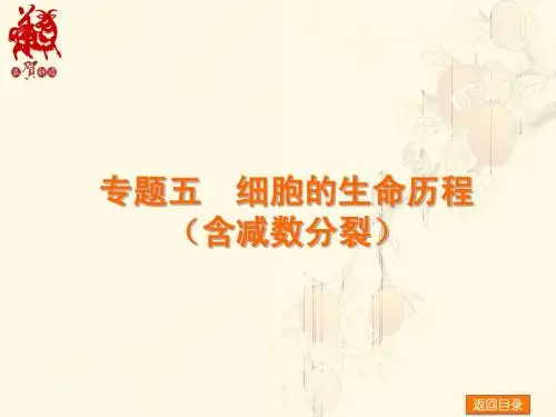 2015高考生物二轮：专题5 细胞的生命历程(优秀课件)