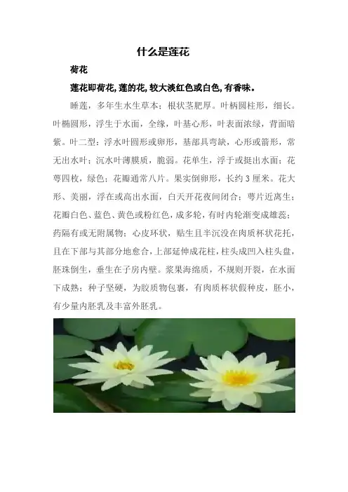 什么是莲花