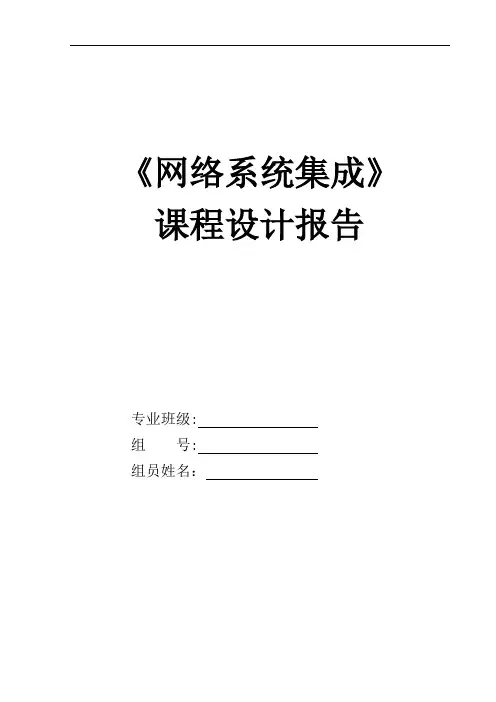《网络系统集成》课程设计报告