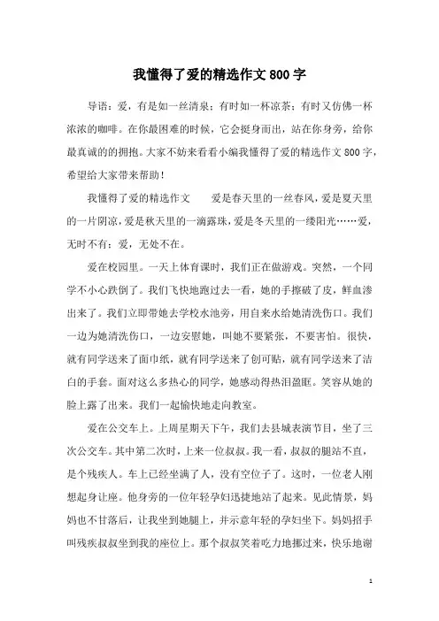 我懂得了爱的精选作文800字