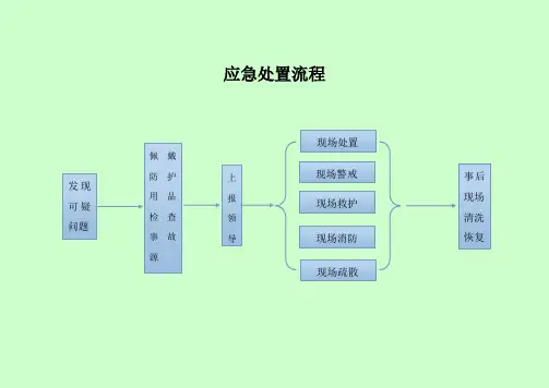 应急处置流程