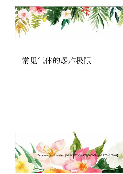 常见气体的爆炸极限完整版