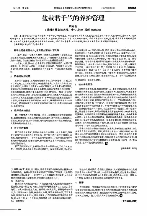 盆栽君子兰的养护管理