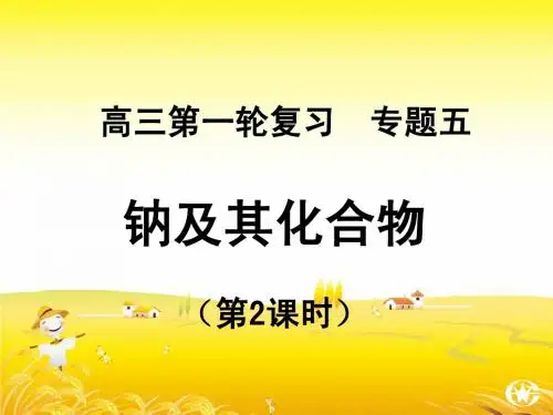 高三复习钠及其化合物2