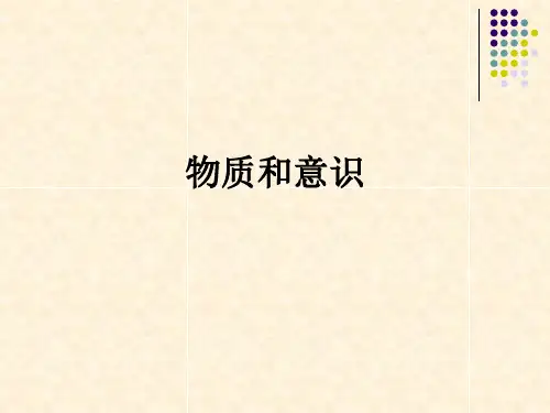 物质和意识ppt课件