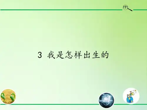 五年级科学下册课件-3.3 我是怎样出生的-苏教版(共27张PPT)