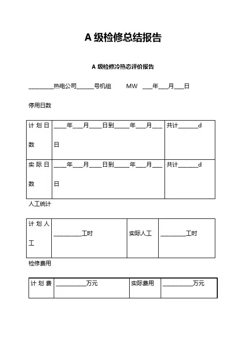 A级检修总结报告