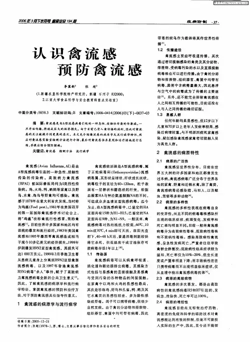 认识禽流感预防禽流感