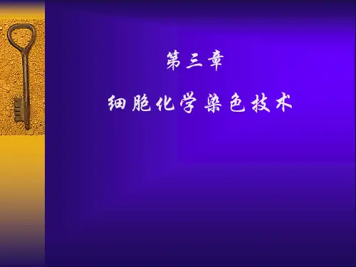 血液学血细胞化学染色