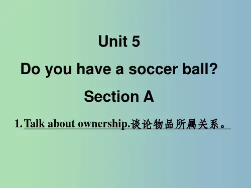 七年级英语上册 Unit 5 Do you have a soccer ball Section A