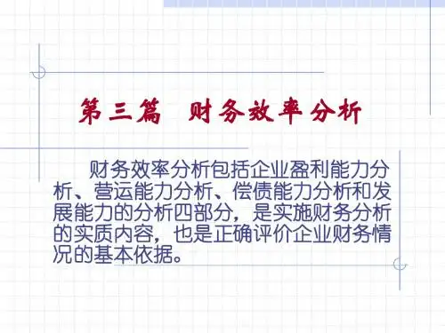 财务分析6