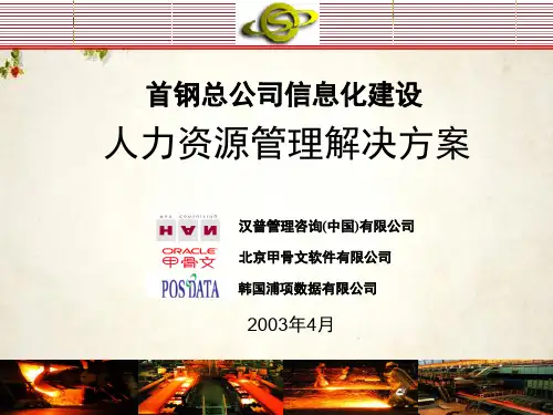 某总公司人力资源管理解决方案(PPT 48页)
