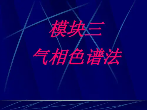 气相色谱仪的认识和使用