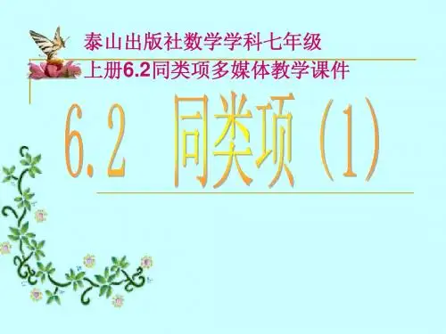 6.2.1同类项 课件
