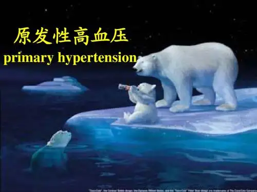 5原发性高血压的发病机制