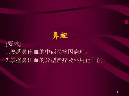 鼻衄幻灯片