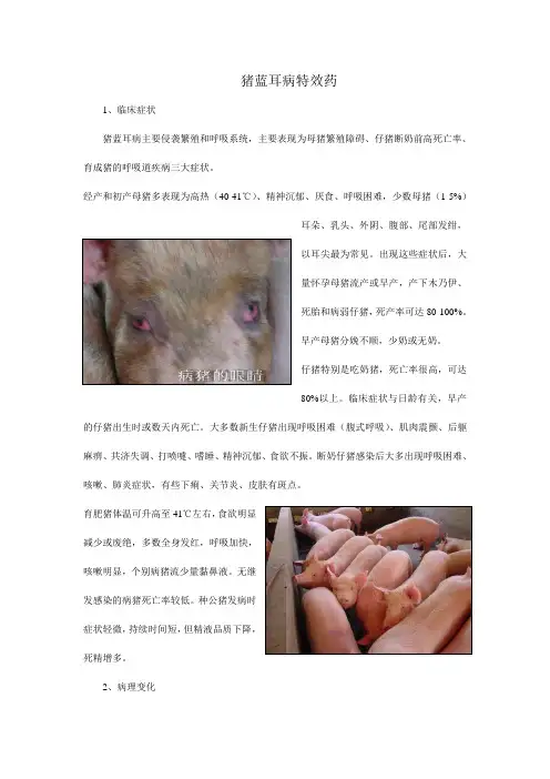 猪蓝耳病特效药