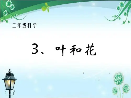 (精选)苏教版三年级科学《叶和花》