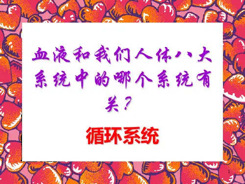 人体八大系统——循环系统