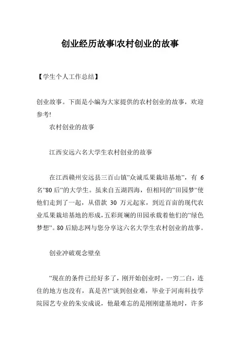 创业经历故事-农村创业的故事