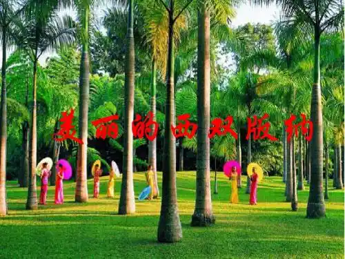 《美丽的西双版纳》公开课 优秀课件 (苏教版)PPT