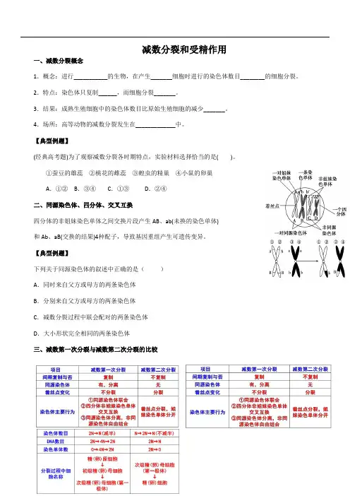 减数分裂和受精作用 教案