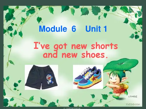 2018学年三上M6U1 Ive got new shorts and new shoes第一课时课件