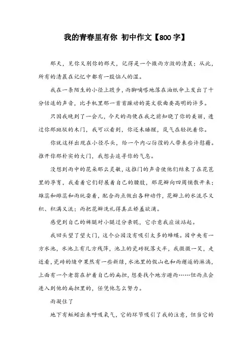 我的青春里有你 初中作文【800字】