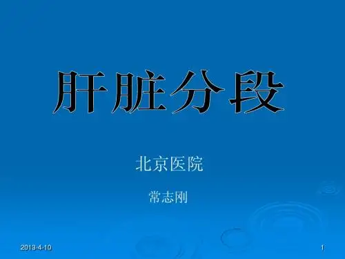 肝脏分段