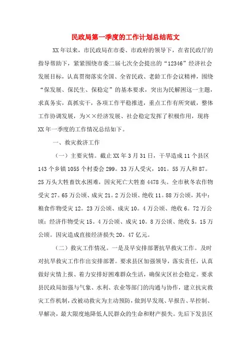 2019年民政局第一季度的工作计划总结范文
