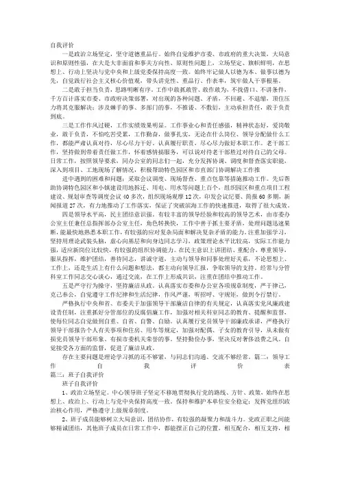 自我评价领导
