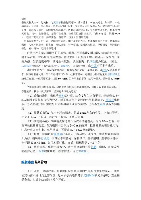 栾树