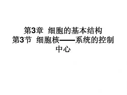 第3章 细胞的基本结构(细胞核)