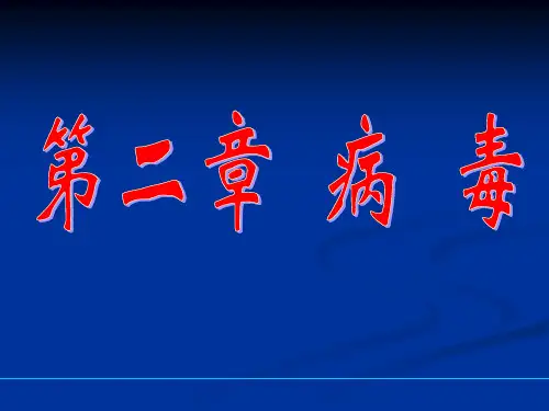 3. 病毒检验技术