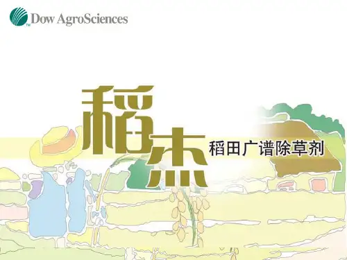 稻杰