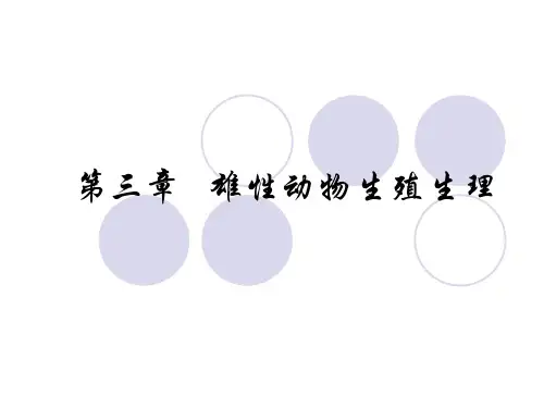 第三章 雄性生殖生理