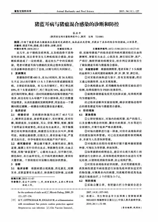 猪蓝耳病与猪瘟混合感染的诊断和防控
