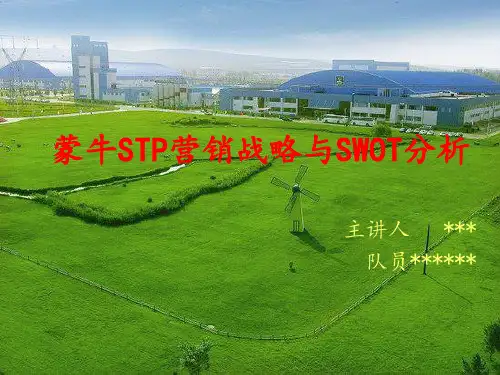 市场营销案例-蒙牛swot与stp分析
