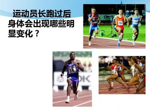 广东省汕头市金山中学高一人教版必修1生物课件——第五章-第三节-ATP的主要来源——细胞呼吸(共45